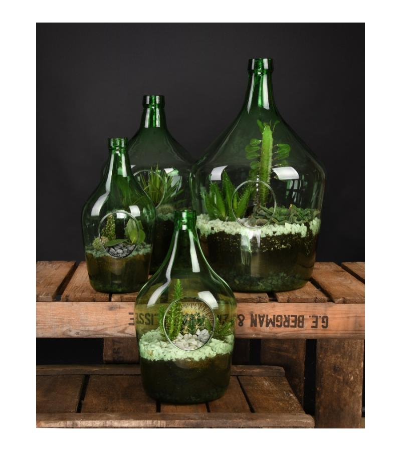Open terrarium fles S 3L 16x16x30 cm groen